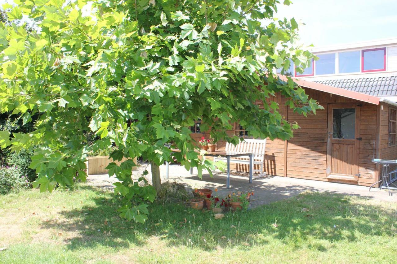 Bluesheep-Texel Bed & Breakfast De Koog  Luaran gambar